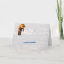 Search for yukon cards Danita delimont