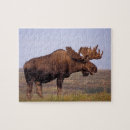 Search for moose puzzles Antler
