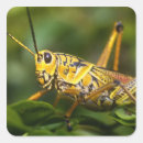Search for everglades national park stickers Usa