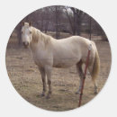 Search for palomino stickers Mare