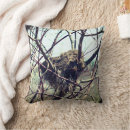 Search for bird nest cushions Nature