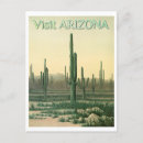 Search for cacti postcards Vintage