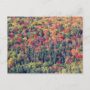 Search for autumn landscapes postcards Scenic