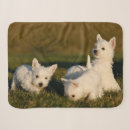 Search for west highland terrier blankets Puppy