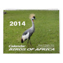 Search for birdlife Avian