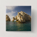Search for cabo badges Cabo san lucas
