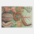 Search for annelid Kunstformen der natur