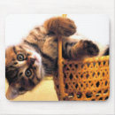 Search for little brown mousepads Cute