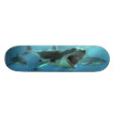 Search for shark attack skateboards Ocean