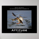 Search for funny duck posters Wildlife