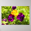 Search for autumn background posters Birthday