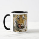 Search for tiger eye mugs Wildlife