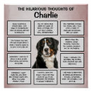 Search for bernese posters Bernese mountain dog