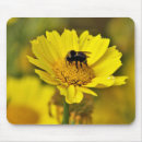 Search for bumblebee mousepads Flower