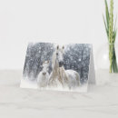 Search for colt christmas cards Winter