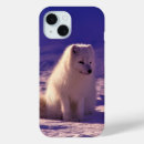 Search for arctic cases Winter