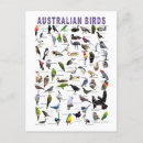 Search for bird postcards Australia