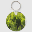 Search for fern key rings Nature