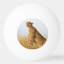 Search for big ping pong balls Wildlife