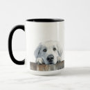 Search for great pyrenees mugs Pet