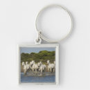 Search for horse key rings Wild