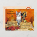 Search for thanksgiving cat postcards Halloween