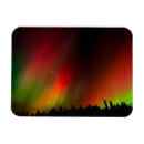 Search for birds rectangular magnets Jaynes gallery