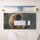 Search for gibbons mousepads Primate