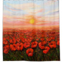 Search for opium Poppy