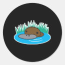 Search for cute platypus stickers Australia