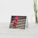 Search for hummingbird cards Floral