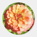 Search for zinnia magnets Red