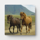 Search for brown plaques Horse