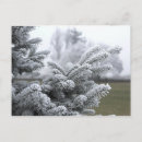 Search for winter greetings postcards Snow