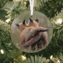 Search for red fox christmas tree decorations Animals in the wild