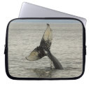 Search for head laptop cases Pattern