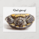 Search for upside down postcards Cute