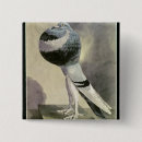 Search for crt badges Bird
