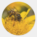 Search for pollen stickers Bee