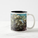 Search for great barrier reef mugs Scuba diving