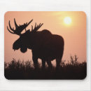 Search for moose mousepads North america