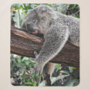Search for koala blankets Wildlife