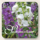 Search for leisure coasters White