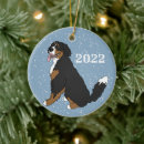 Search for bernese mountain dog christmas tree decorations Berner