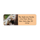 Search for calico cat return address labels Kitten
