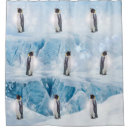 Search for penguin gifts South pole