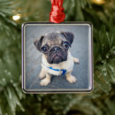 Search for pug christmas tree decorations Puppy