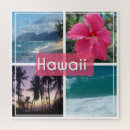 Search for oahu puzzles Palm trees