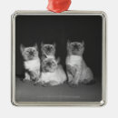 Search for innocence christmas tree decorations Horizontal