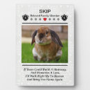 Search for rabbit memorial gifts Remembrance